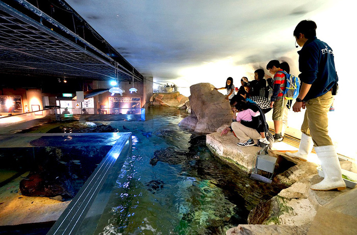 ミステリーツアー