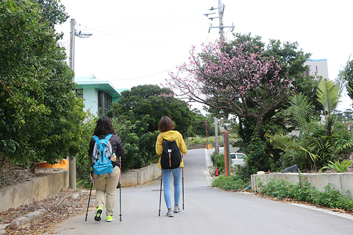 こちゃ村体験のまちまーい画像