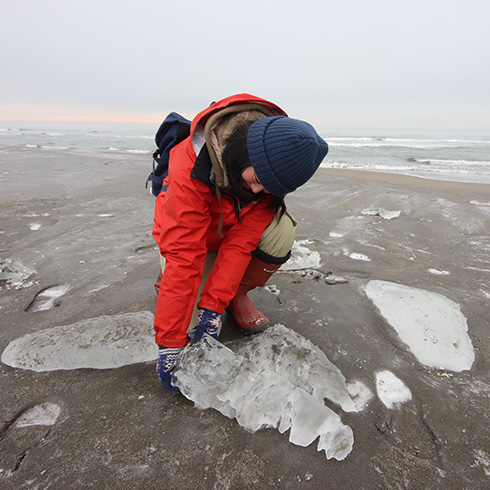 ジュエリーアイス