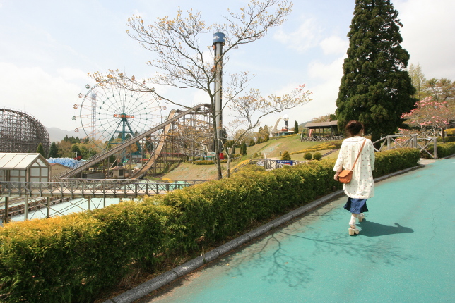 四季折々の木々が溢れる園内
