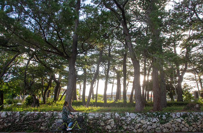 おしゃべりの風景