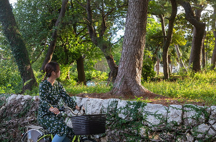 島内の人々と触れ合う風景