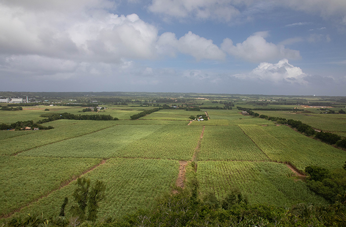 おしゃべりの風景