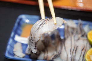 絶品深海魚「ナワキリ」