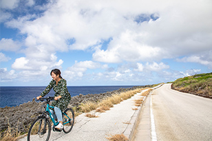 島をぐるりサイクリング
