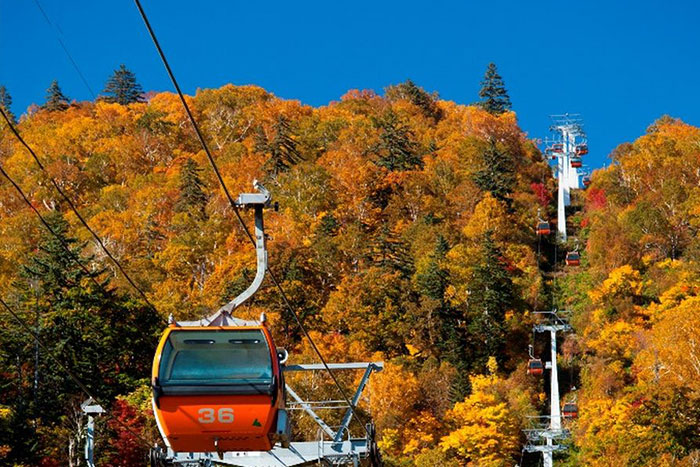 秋の定山渓｜紅葉の名所を迷わず楽しむ方法とは？