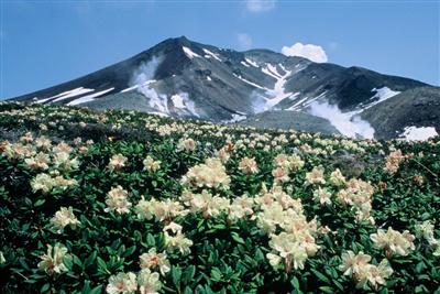 大雪山連峰
