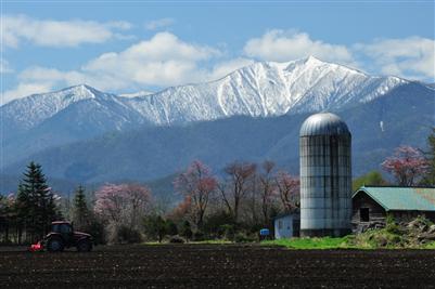 サイロのある風景は、北海道らしい風景の代表