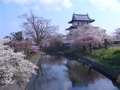 アイヌと因縁の深い松前城。今は桜の名所として知られる