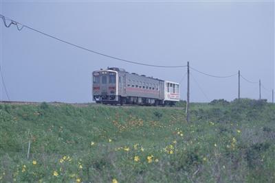 電車で北海道の広い大地を巡るのも楽しい