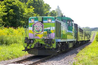 絶景の中を走る富良野・美瑛ノロッコ号