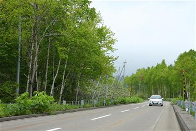 北海道のレンタカーを最安値提供！