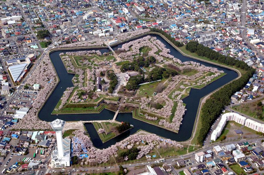 函館＆道南でお花見するなら、ココでしょ！