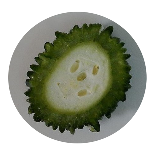 ゴーヤー・三男