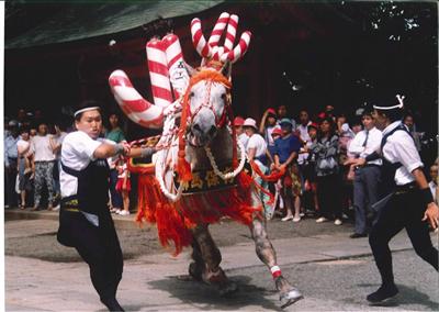 藤崎八旛宮例大祭・飾馬