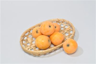 長崎びわの代表的な品種「茂木」