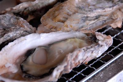 九十九島の海域ではカキの養殖が盛ん