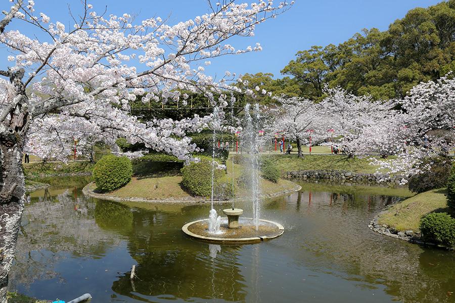 小城公園の桜