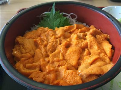 積丹「みさき」の赤バフン生ウニ丼