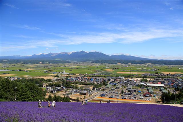 富良野・美瑛7月のおすすめ情報