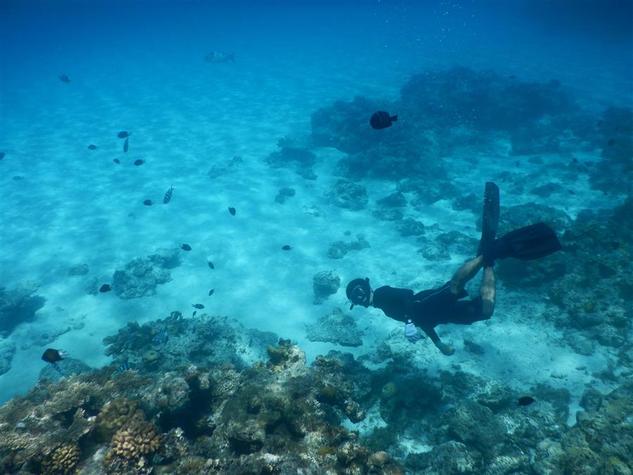 ニシ浜ビーチの海中