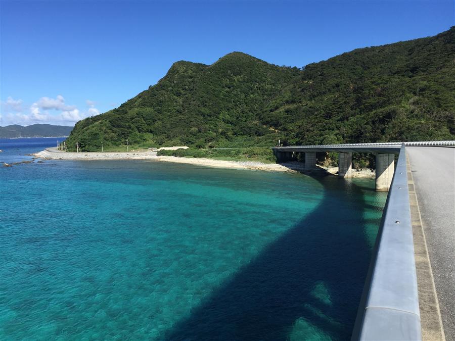 橋から眺める海