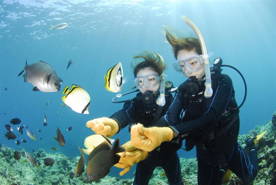 海遊びのラストチャンス！