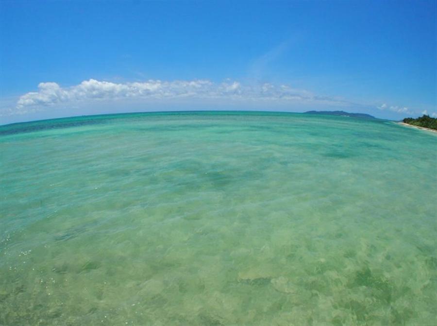透き通る海