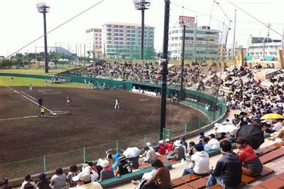 沖縄2月の旬のもの