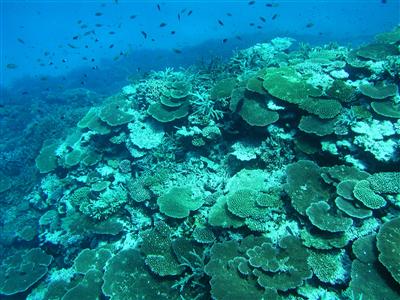 沖縄4月のキホン