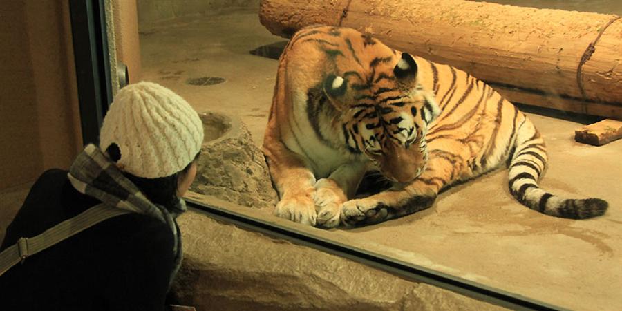 北海道_円山動物園
