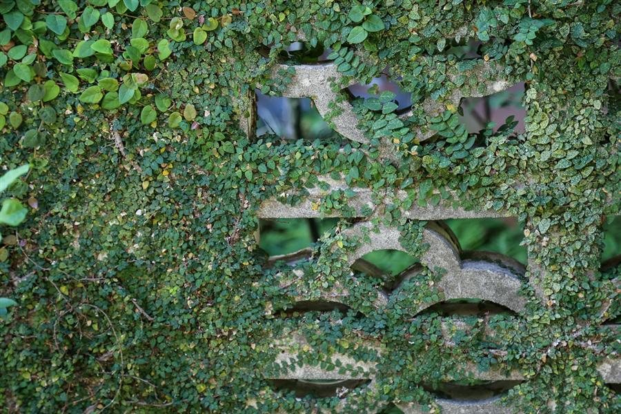 緑が生い茂る花ブロック