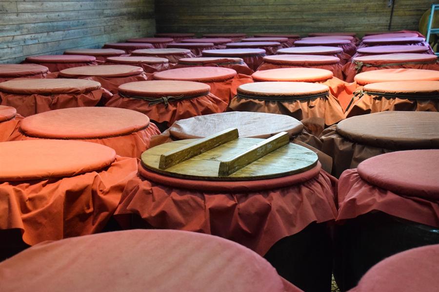 古酒（くーす）