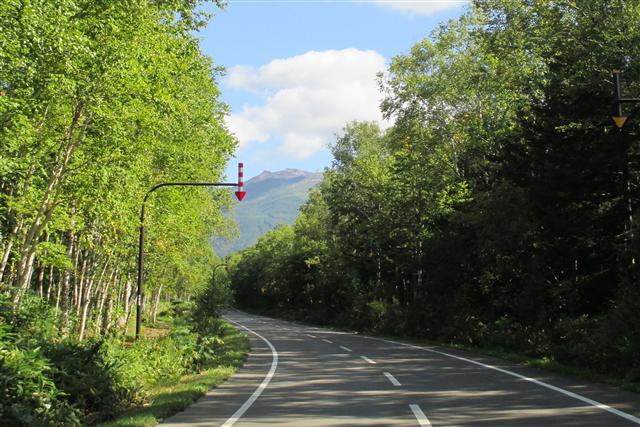 白樺街道 白樺街道