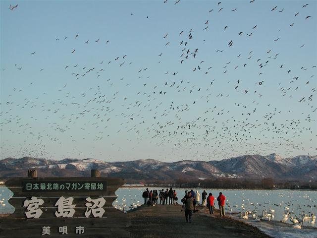 宮島沼1 宮島沼1