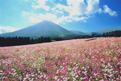 生駒高原