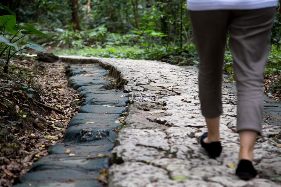 斎場御嶽内の道を歩く