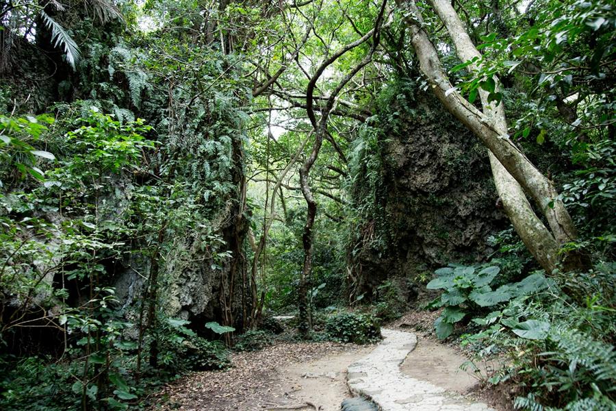 斎場御嶽内の道