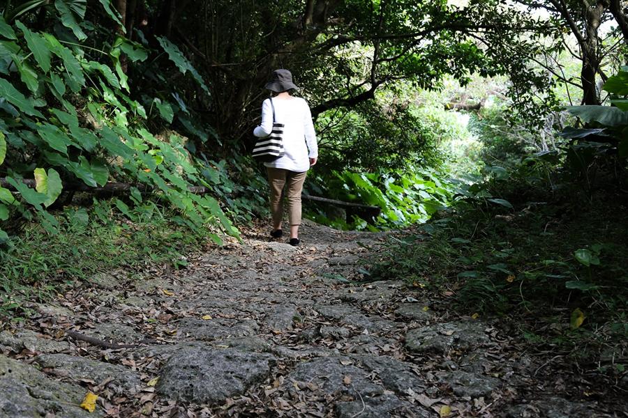 切通のような山道