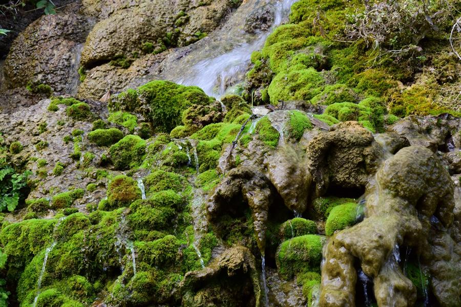 岩苔に流れ落ちる水の流れ