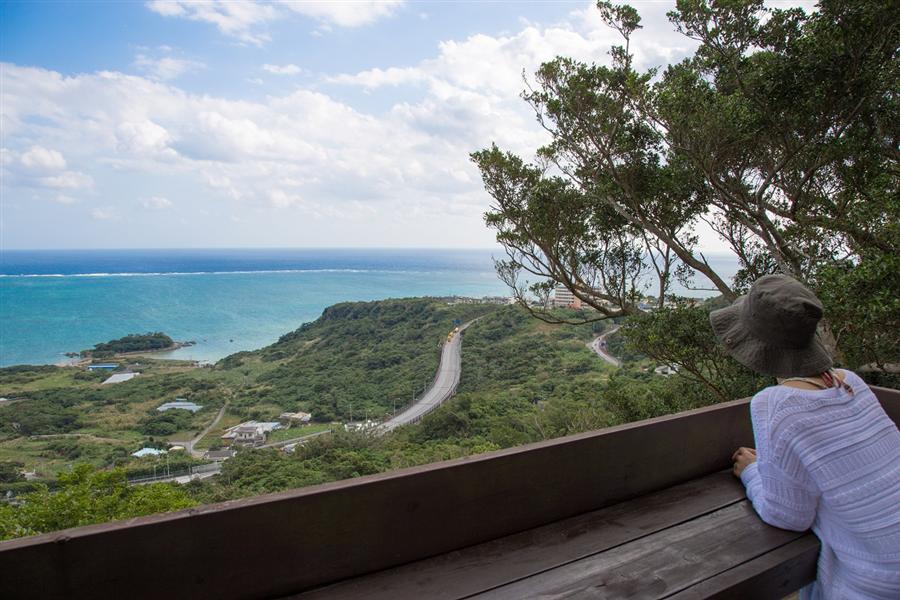 パノラマビュー