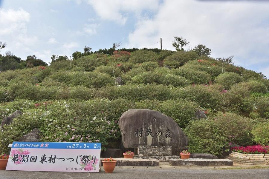 東村つつじ祭り