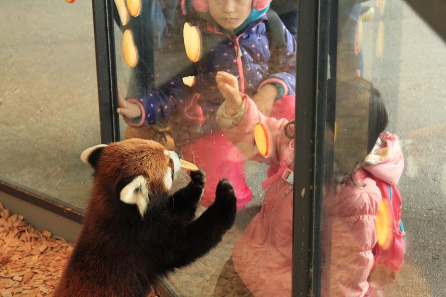 北海道_円山動物園2