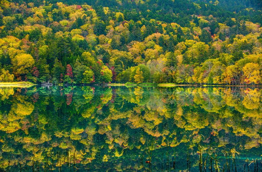 オンネトー紅葉