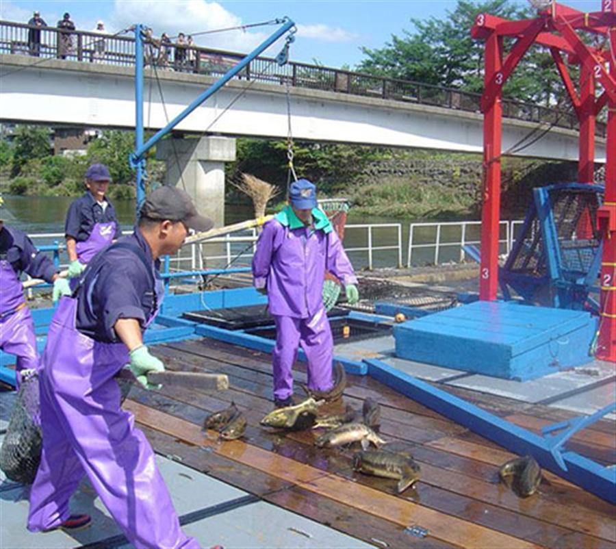 インディアン水車