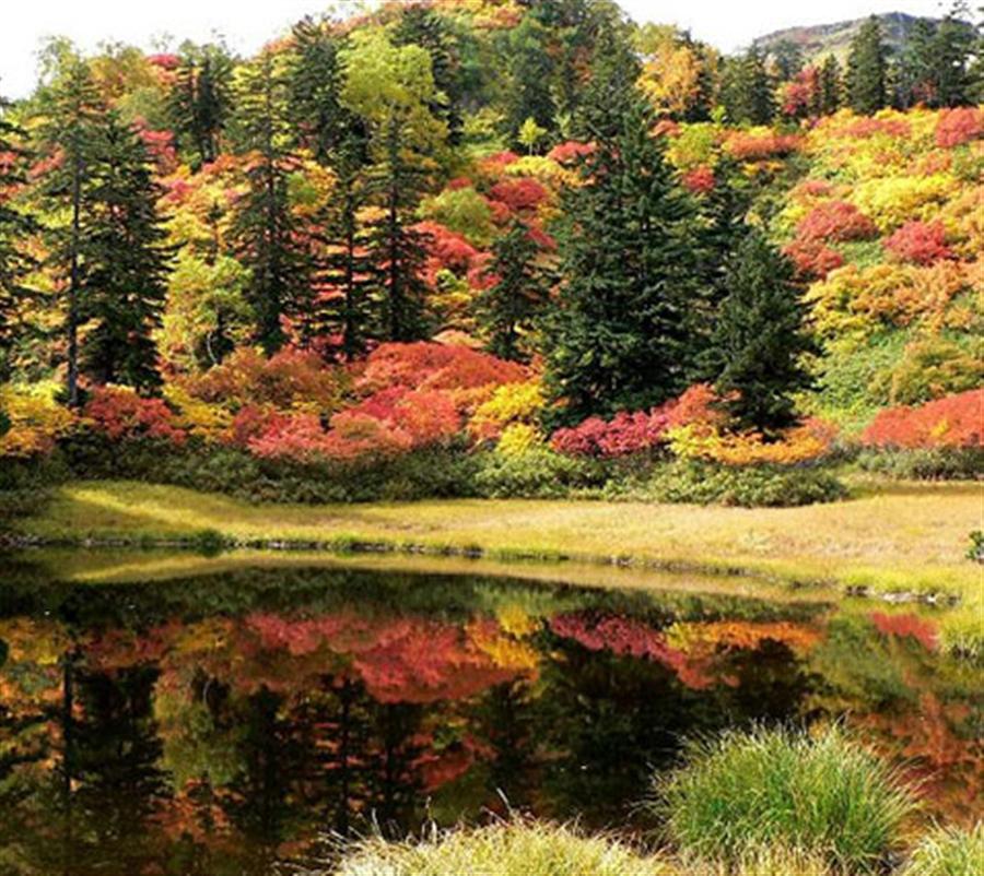 層雲峡 高原温泉（沼めぐり）