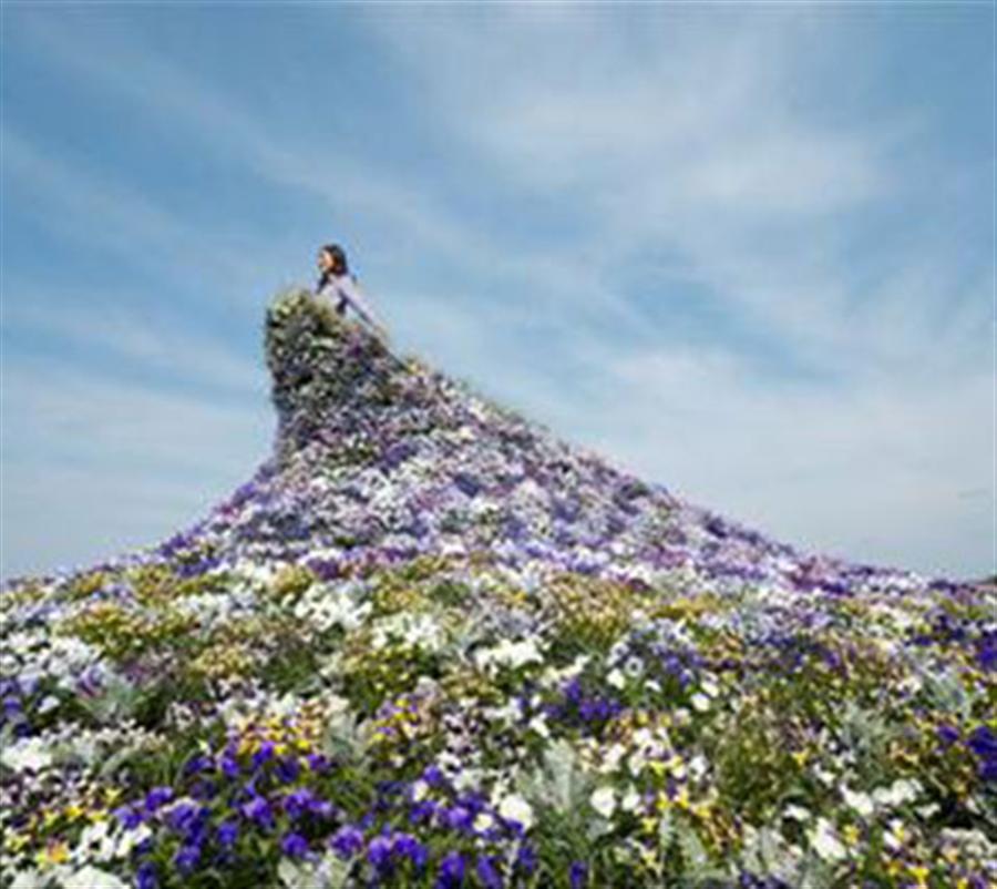 上川町 大雪森のガーデン