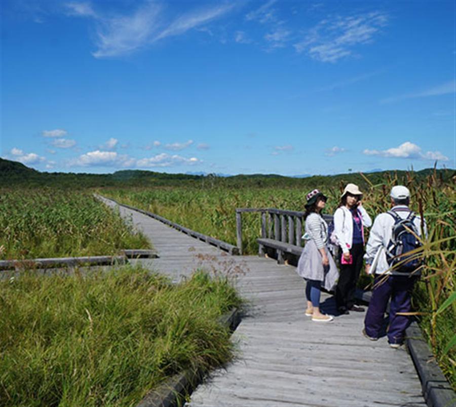 釧路湿原 温根内ビジターセンターの木道