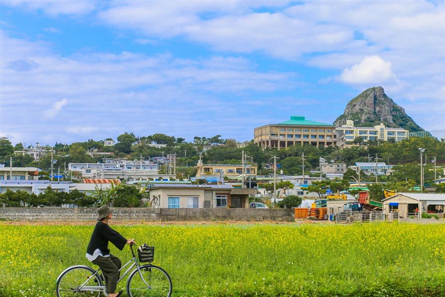 伊江島内の平坦な道を自転車で走る様子