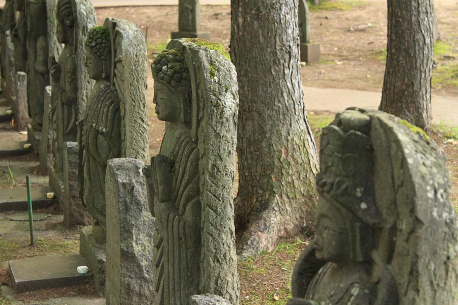 羊蹄山の吹き出し湧水4